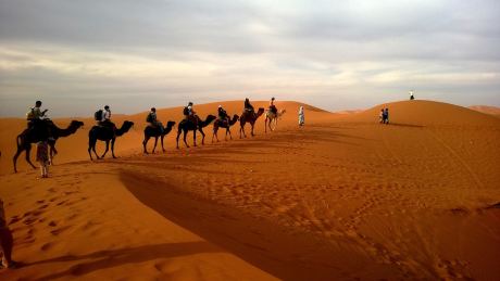 Сафари в пустинята